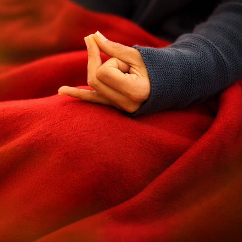 Sadhana